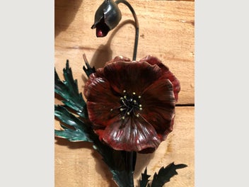 Image 1 of 6