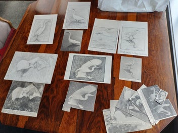 Image 1 of 11
