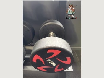 Image 1 of 14