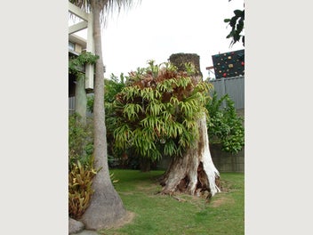 Image 1 of 9