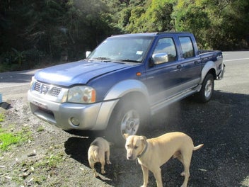 Image 1 of 8