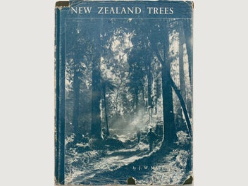 Image 1 of 10