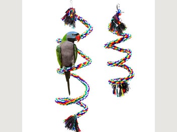 Image 1 of 12