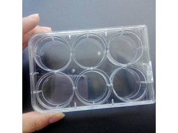Image 1 of 7