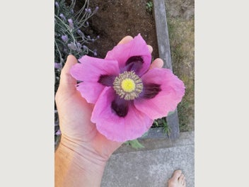Image 1 of 11