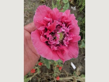 Image 1 of 11