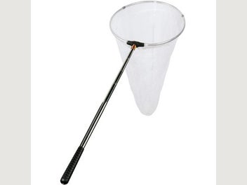 Image 1 of 10