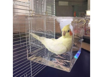 Image 1 of 8