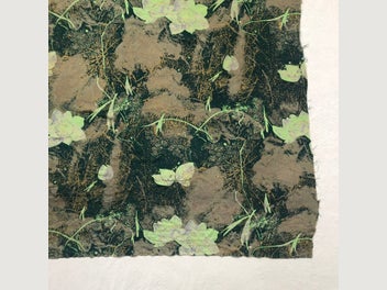 Image 1 of 14