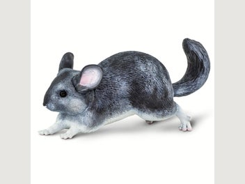 Image 1 of 11