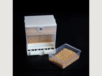 Image 1 of 5