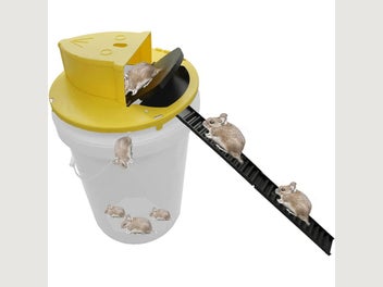 Image 1 of 10