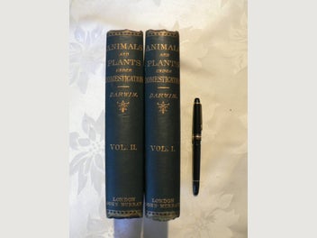 Image 1 of 19