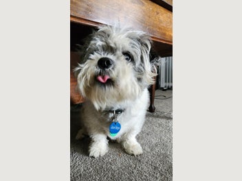 Image 1 of 1