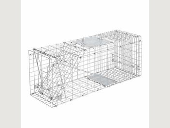 Image 1 of 7