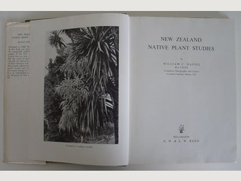 Image 1 of 20