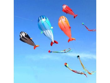 Image 1 of 9