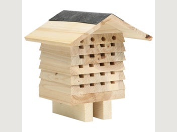 Image 1 of 10