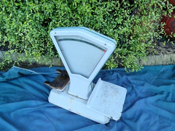 Image 1 of 12