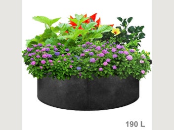 Image 1 of 20