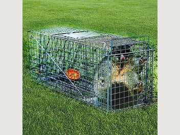 Image 1 of 8