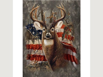 Image 1 of 15
