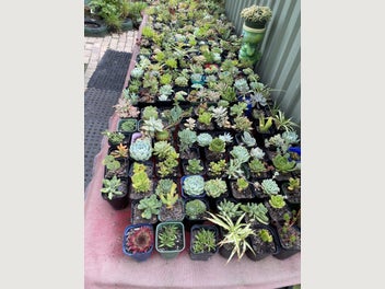Image 1 of 7