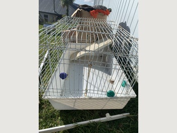 Image 1 of 4
