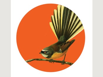 Image 1 of 1