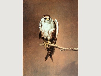 Image 1 of 20