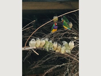 Image 1 of 7