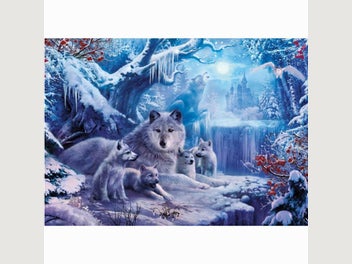 Image 1 of 14