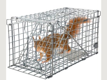 Image 1 of 6