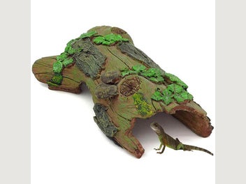 Image 1 of 7