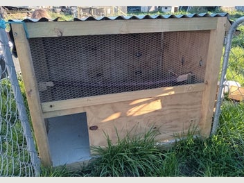 Image 1 of 12