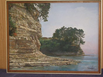 Image 1 of 11