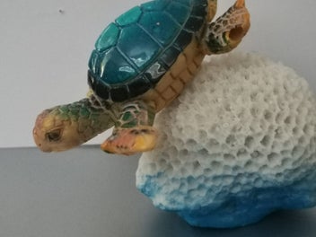 Image 1 of 20