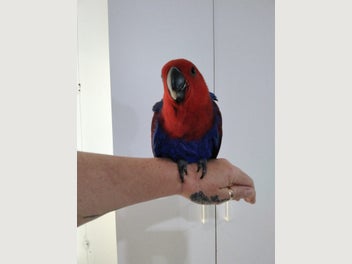 Image 1 of 5