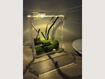 Image 1 of 15