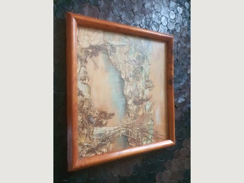 Image 1 of 7