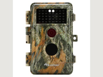 Image 1 of 11