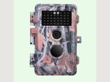 Image 1 of 11