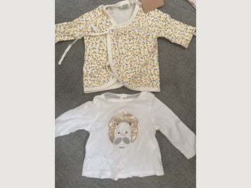 Image 1 of 19