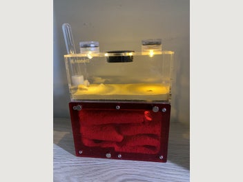 Image 1 of 13