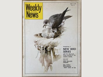 Image 1 of 4