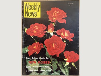 Image 1 of 4