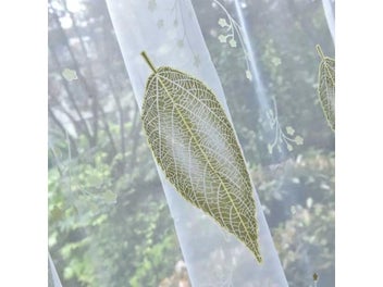 Image 1 of 9
