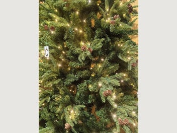 Image 1 of 5