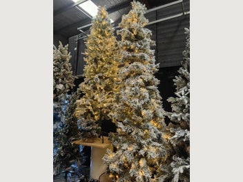 Image 1 of 7