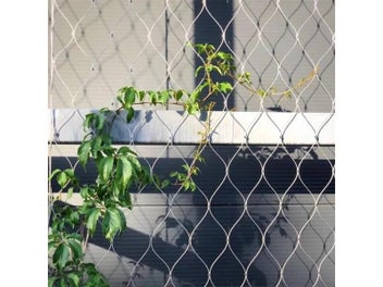 Image 1 of 9